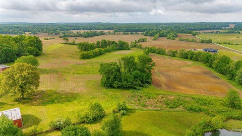 Versatile Cropland with Orchard and Structures