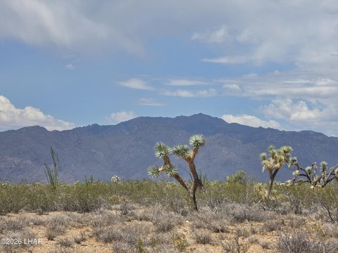 Land, Yucca, AZ