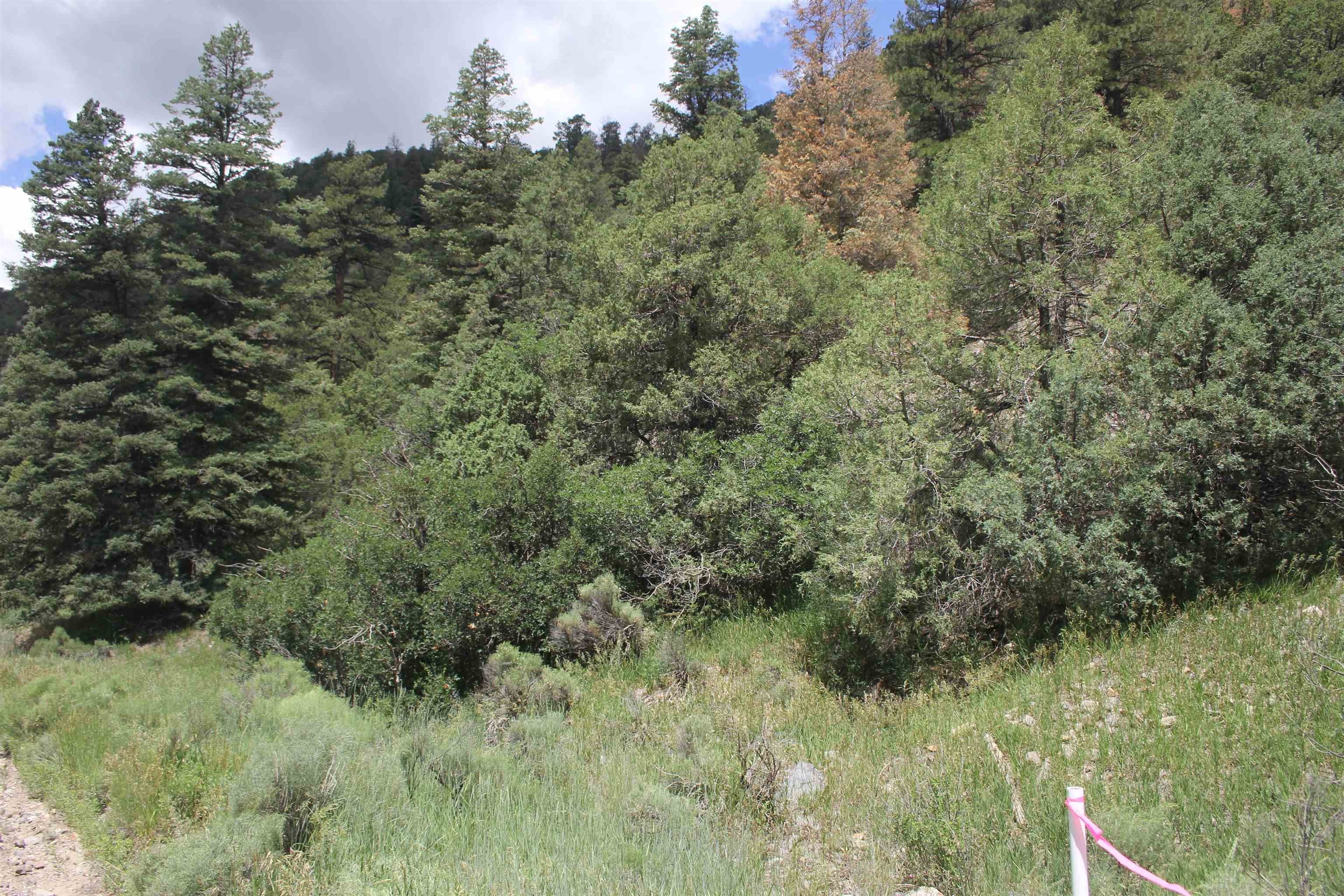 Land Near Cabresto Creek