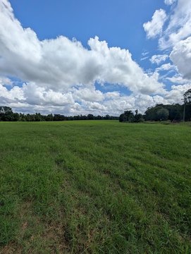 Land, Ariton, AL