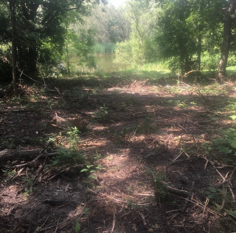 Picture 6
