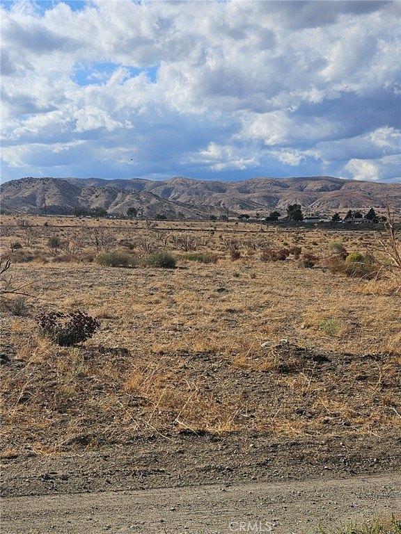Picture 2