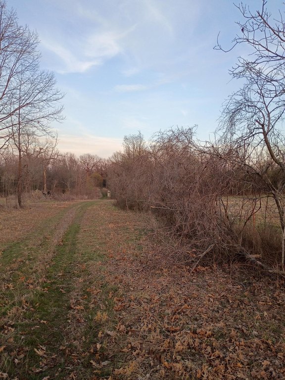 Picture 17