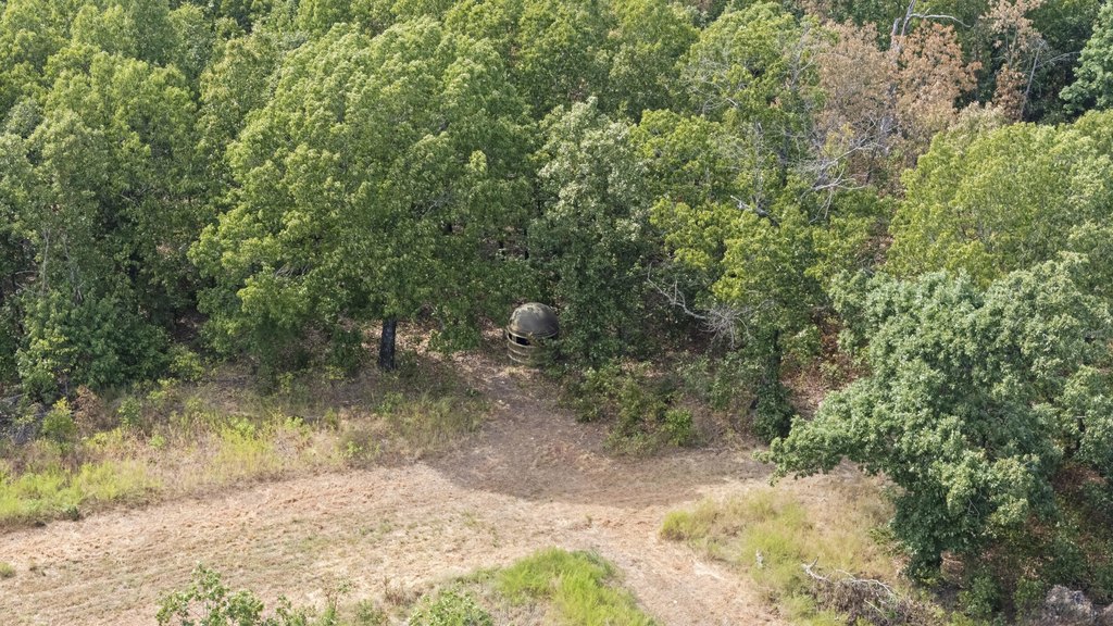 Picture 8