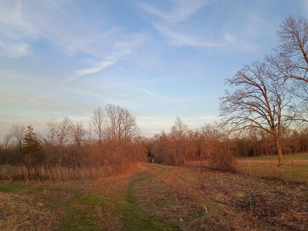 Picture 14