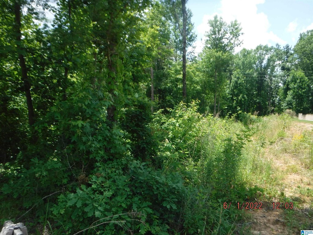 Picture 2