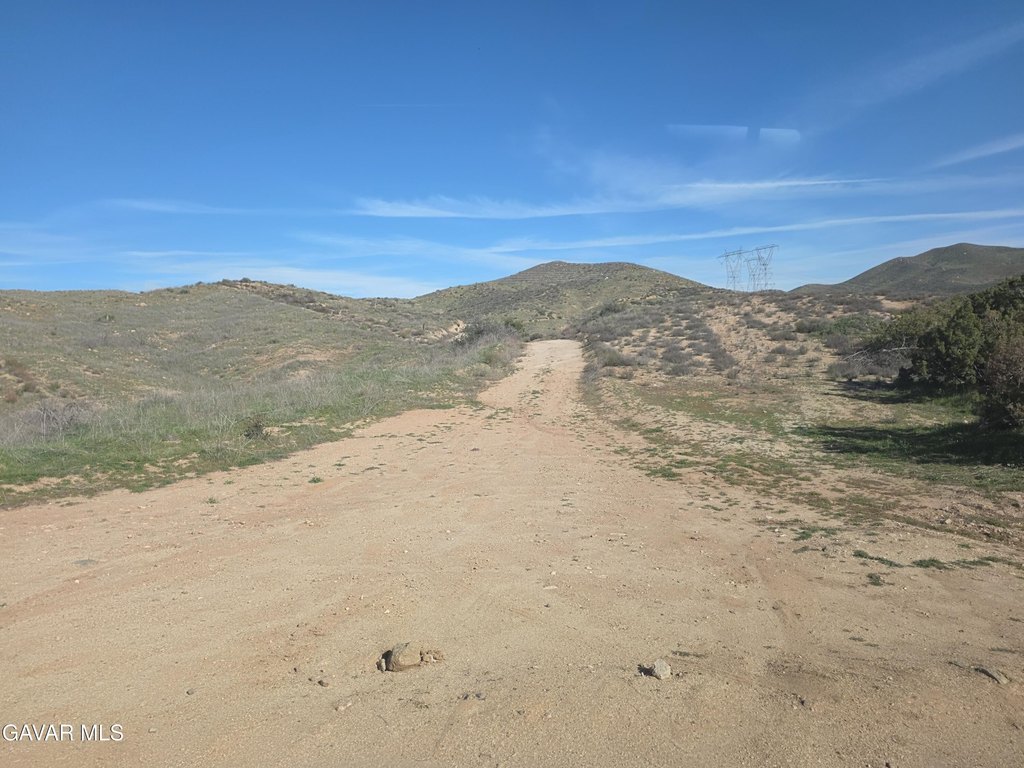 Picture 7
