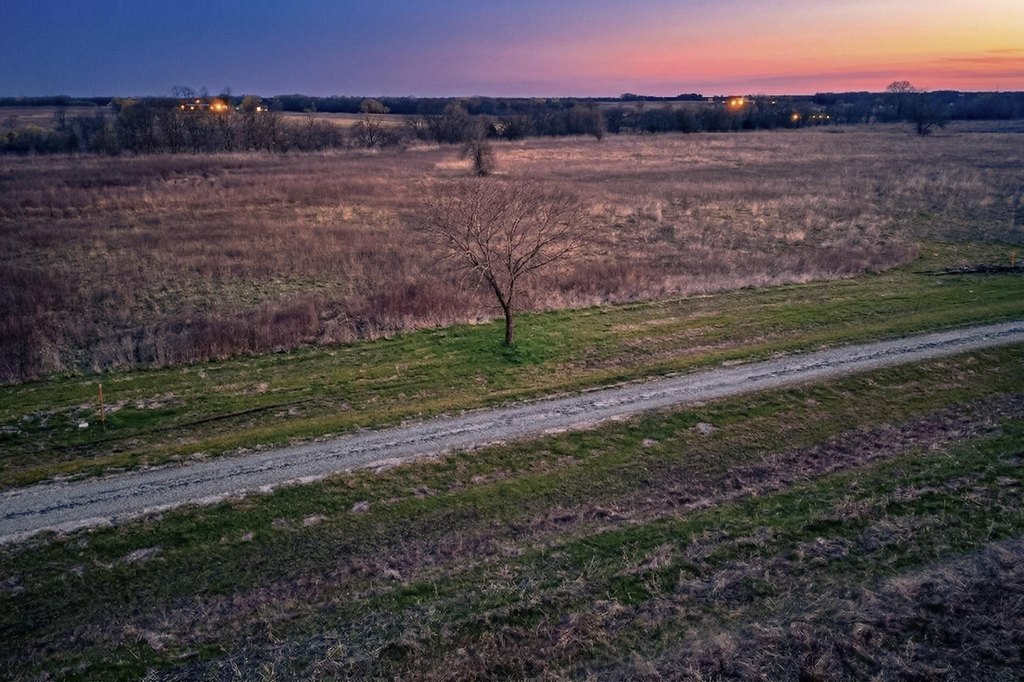 Picture 7