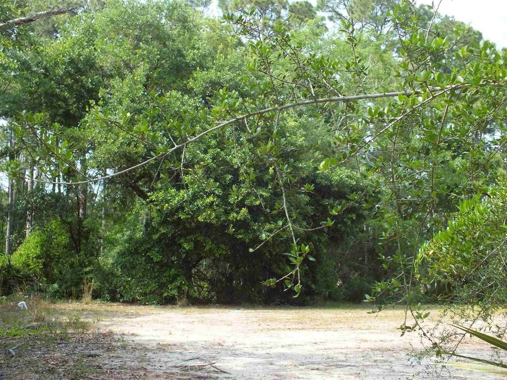 Picture 6