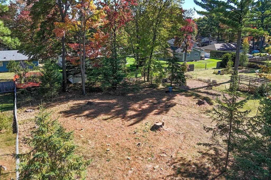 Picture 5