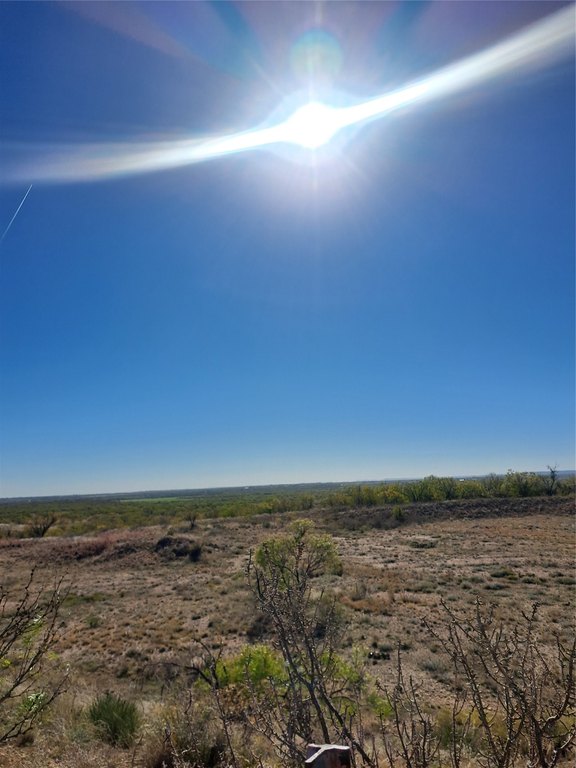 Picture 20