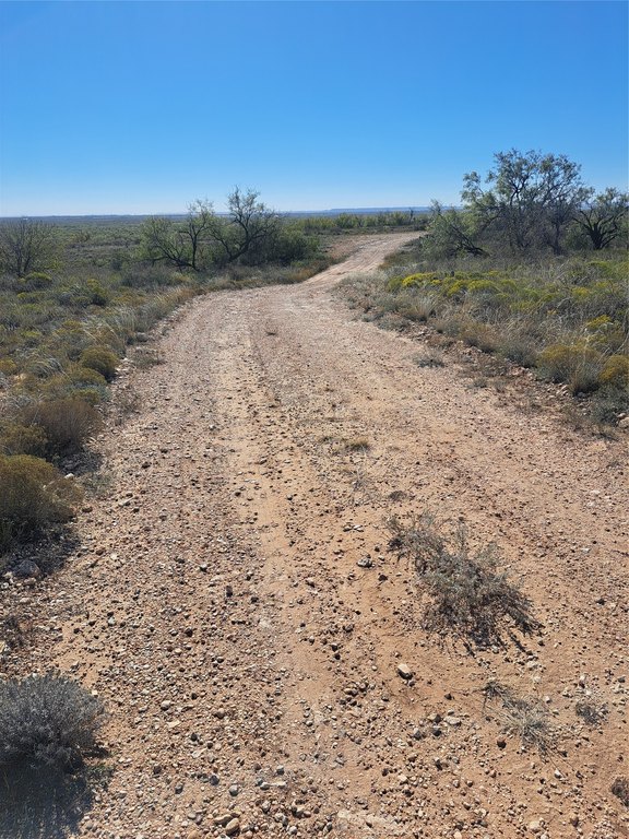 Picture 18