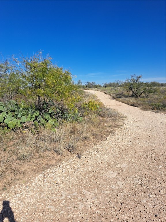 Picture 29