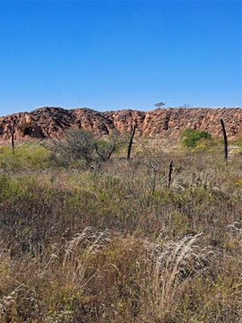 Hunting Land with Timber and Views