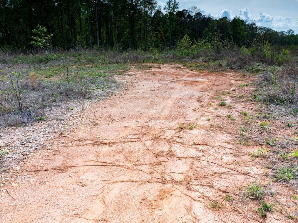 Picture 30