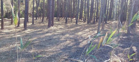 Residential Land in Country Setting