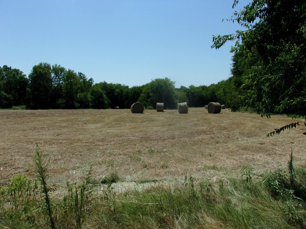 Picture 4