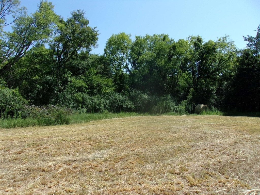 Picture 10