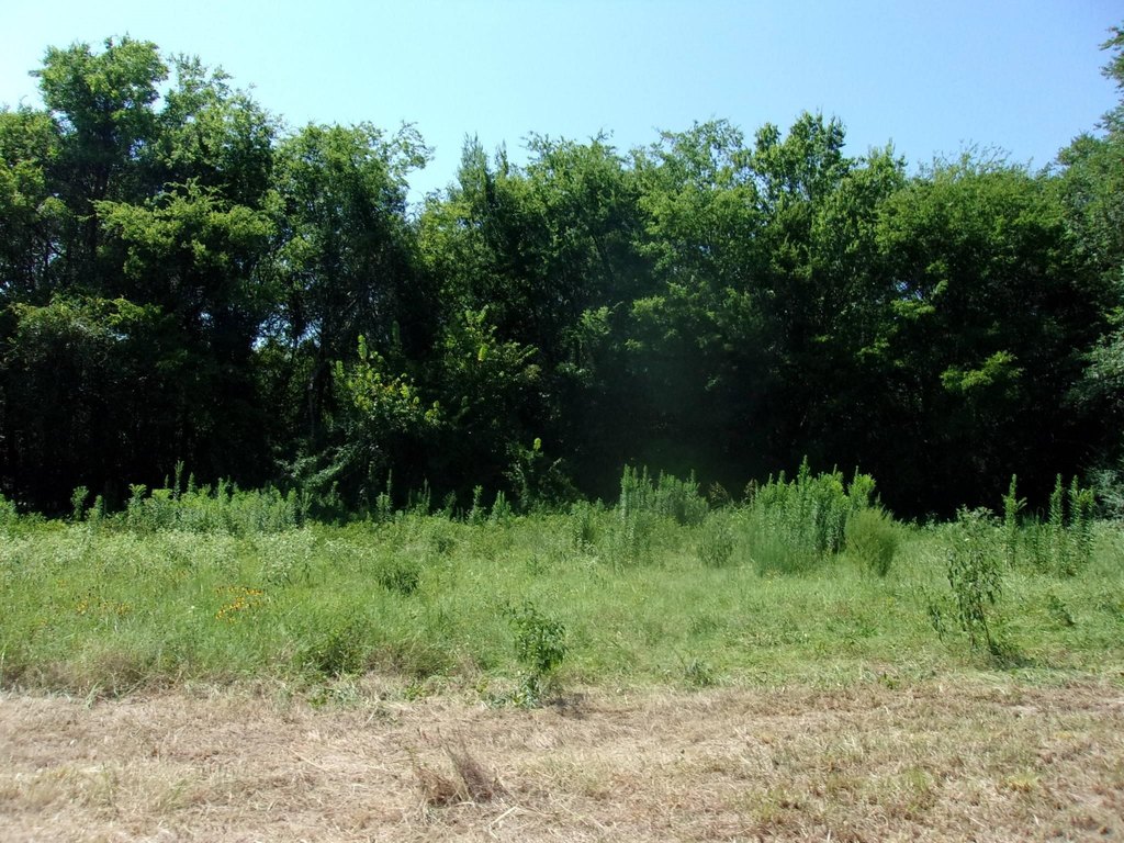 Picture 11