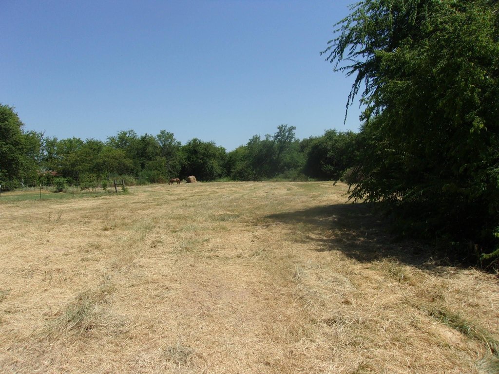 Picture 6
