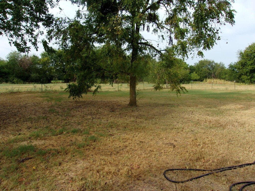 Picture 12