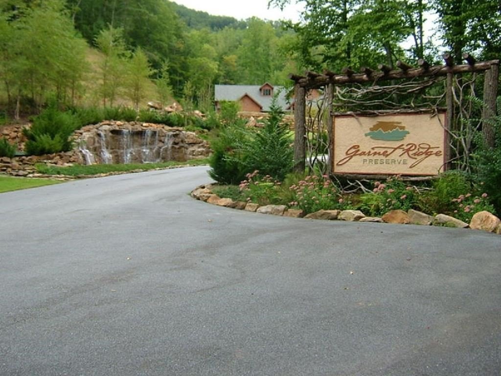 Picture 7