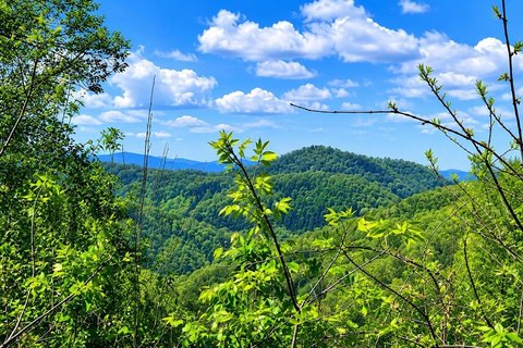 LAND - Sylva, NC