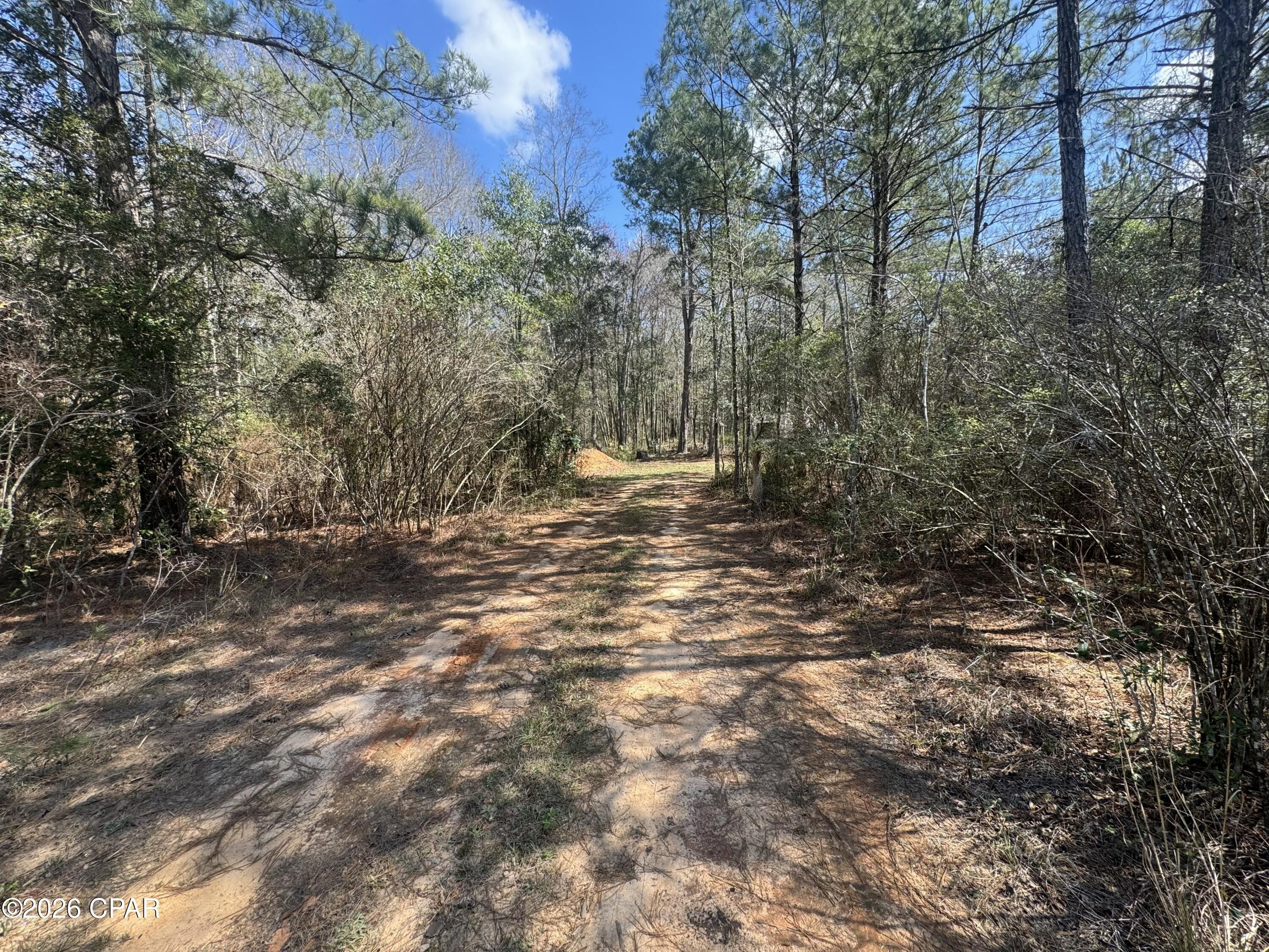 Westville, FL Wooded Land