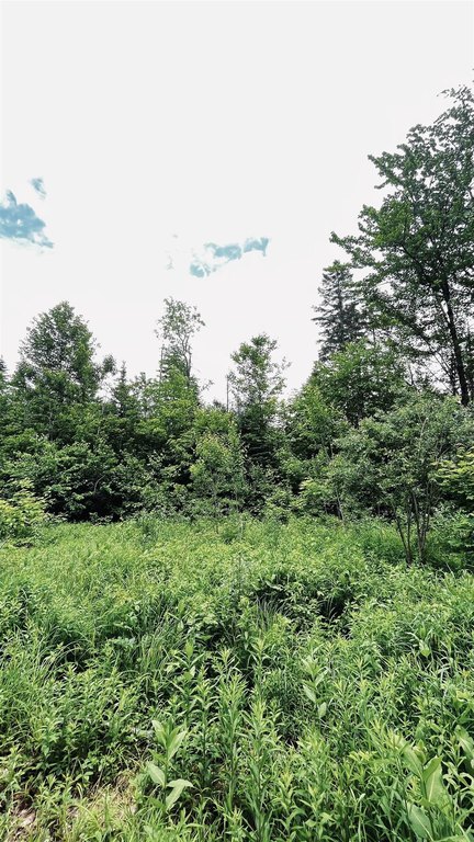 Picture 54
