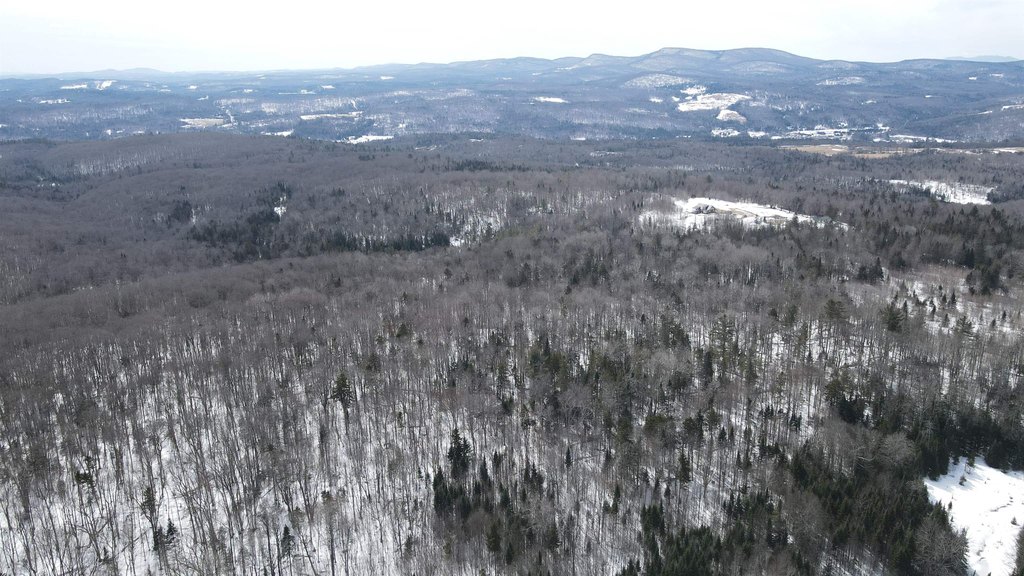 Picture 42