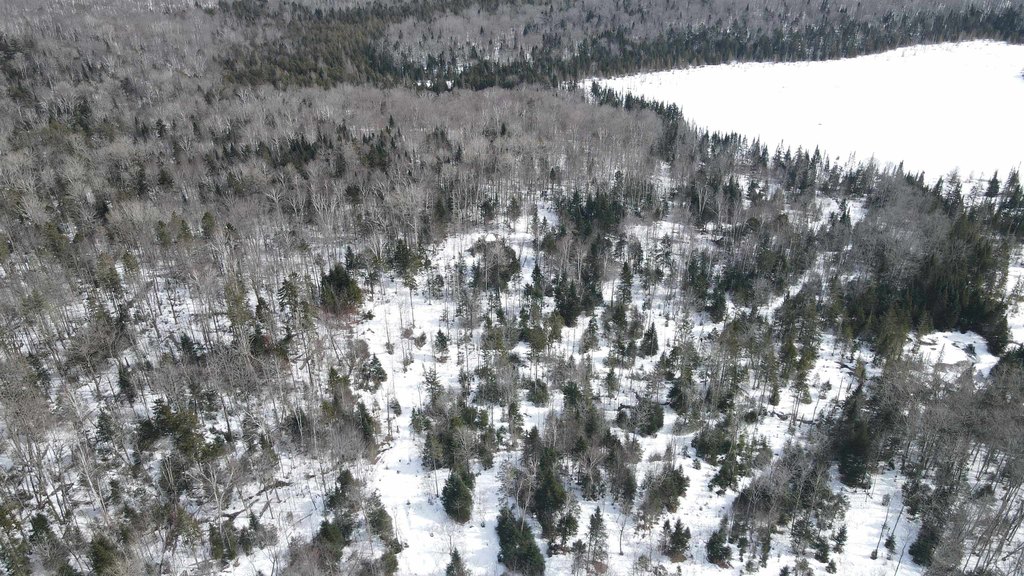 Picture 43
