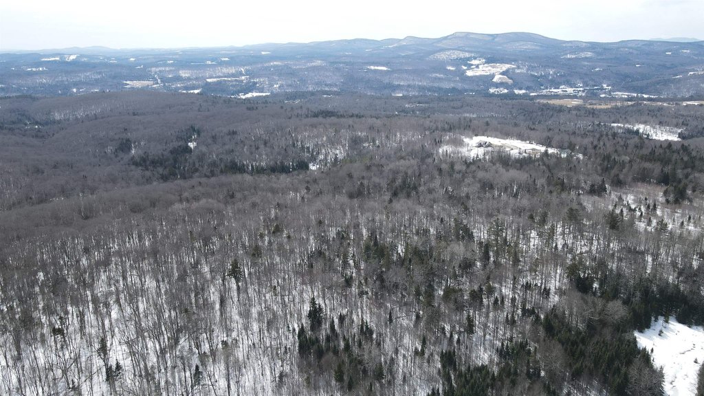 Picture 41