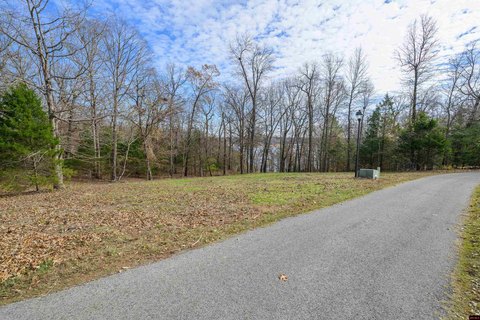 Land with Bull Shoals Lake View