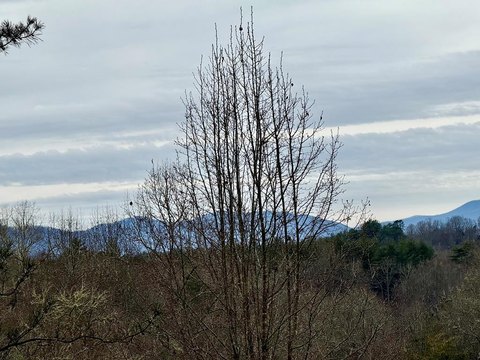 Build-Ready Lot in Gated Community