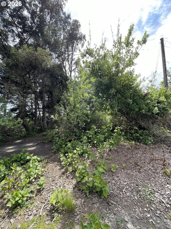 Picture 2