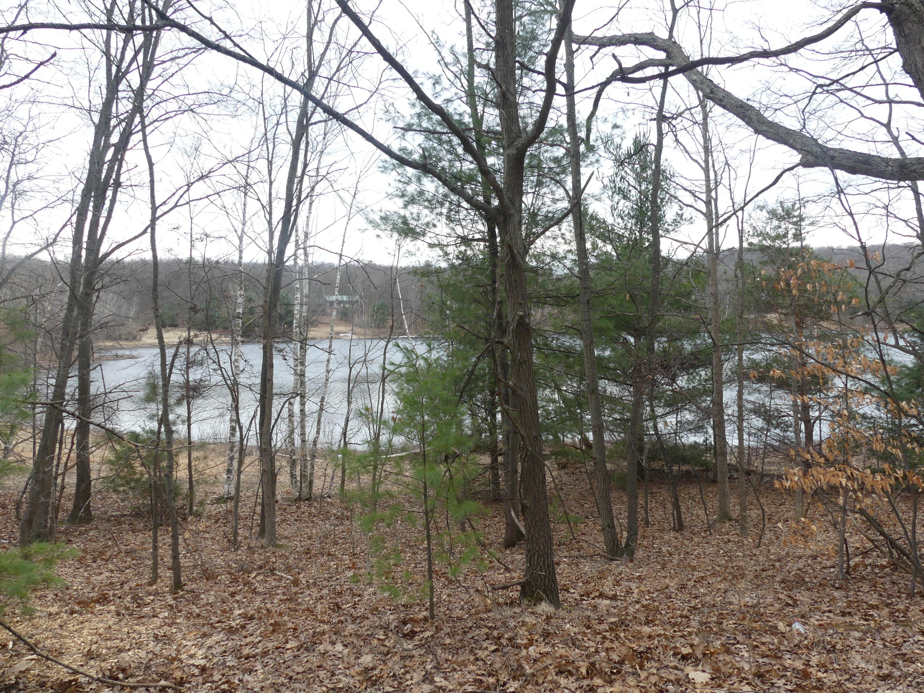 Homer Lake Waterfront Land Opportunity