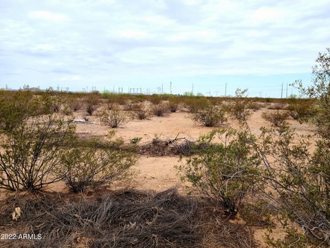 9.14 Acres Corner Lot