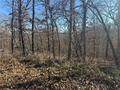 Expansive Wooded Lot in Bella Vista