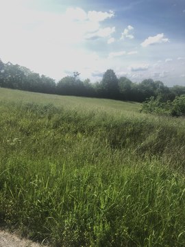 Land, Bloomfield, KY