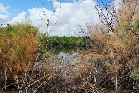 LAND - Post, TX