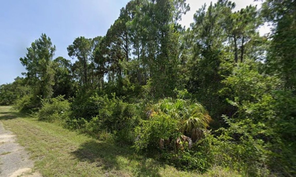Picture 6