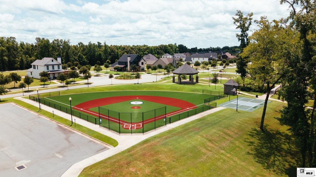 Picture 7