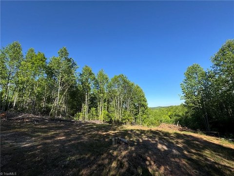 North Wilkesboro Acreage Opportunity
