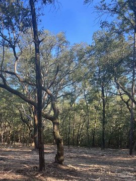 Versatile 5-Acre Parcel in Milton