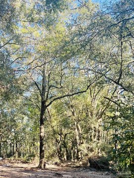 Zoned Residential-Agriculture Land Parcel