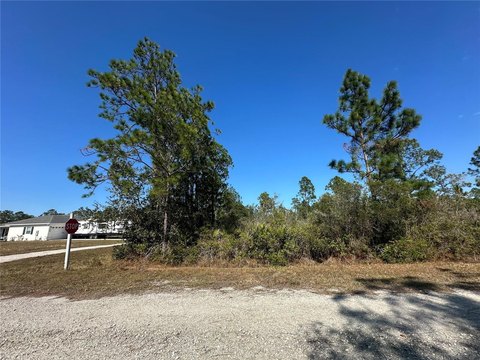 One-Acre Corner Home Site