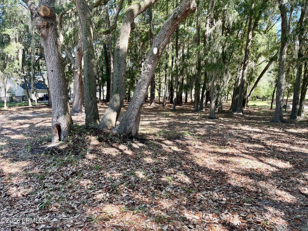 Picture 4