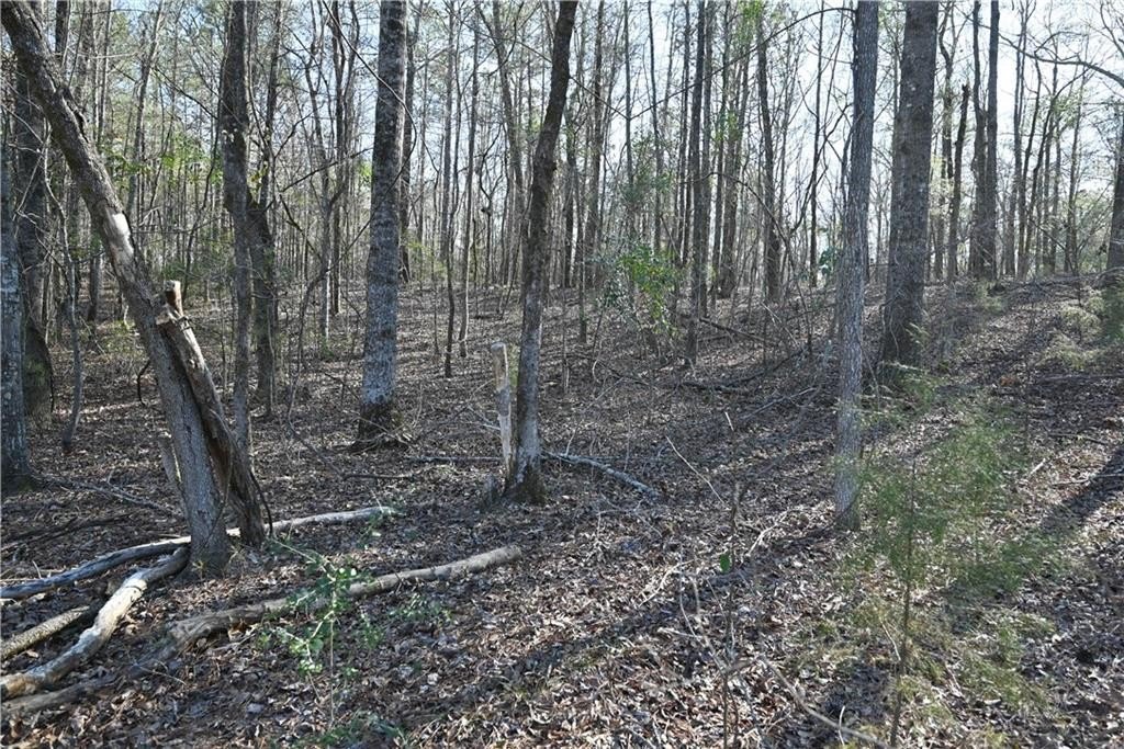Picture 4
