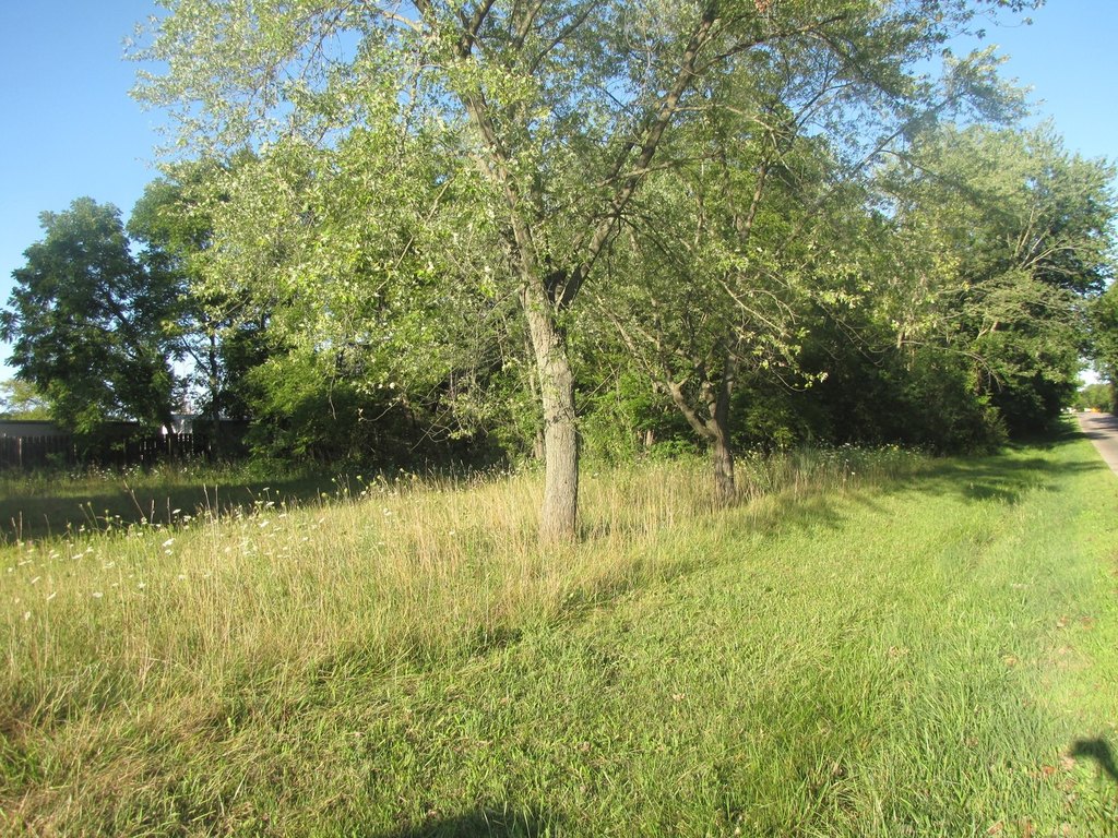 Picture 8