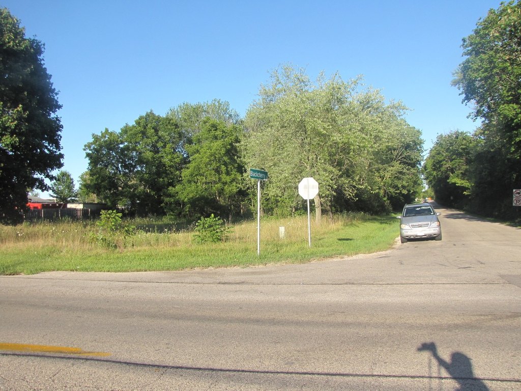 Picture 5